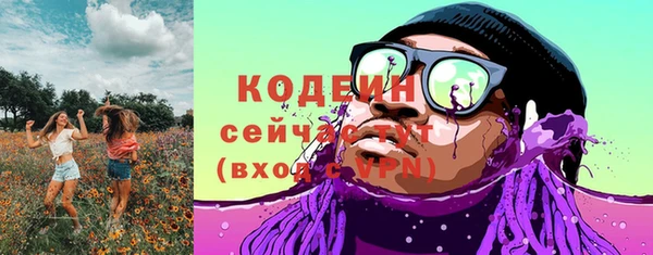 дмт Пересвет