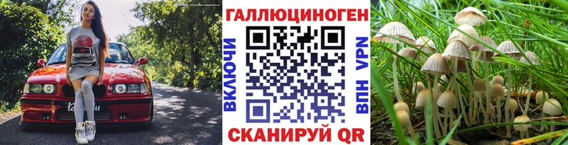Псилоцибиновые грибы прущие грибы  наркотики  Качканар 