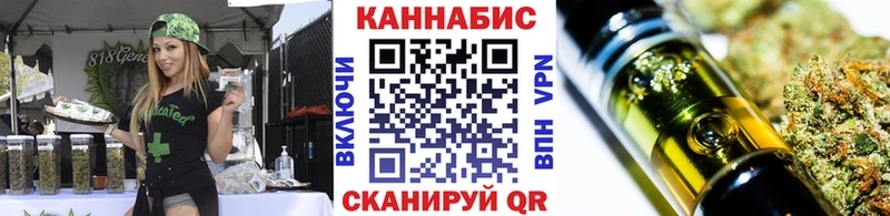 omg маркетплейс  закладки  Качканар  Шишки марихуана SATIVA & INDICA 